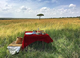 A picnic table in the middle of an open field.