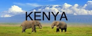 Two elephants in a field with the word kenya written above them.