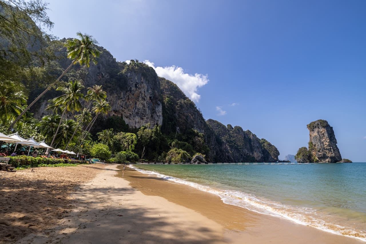 A beach with palm trees and mountains in the background.