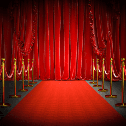 A red carpet with a curtain and rope barriers.